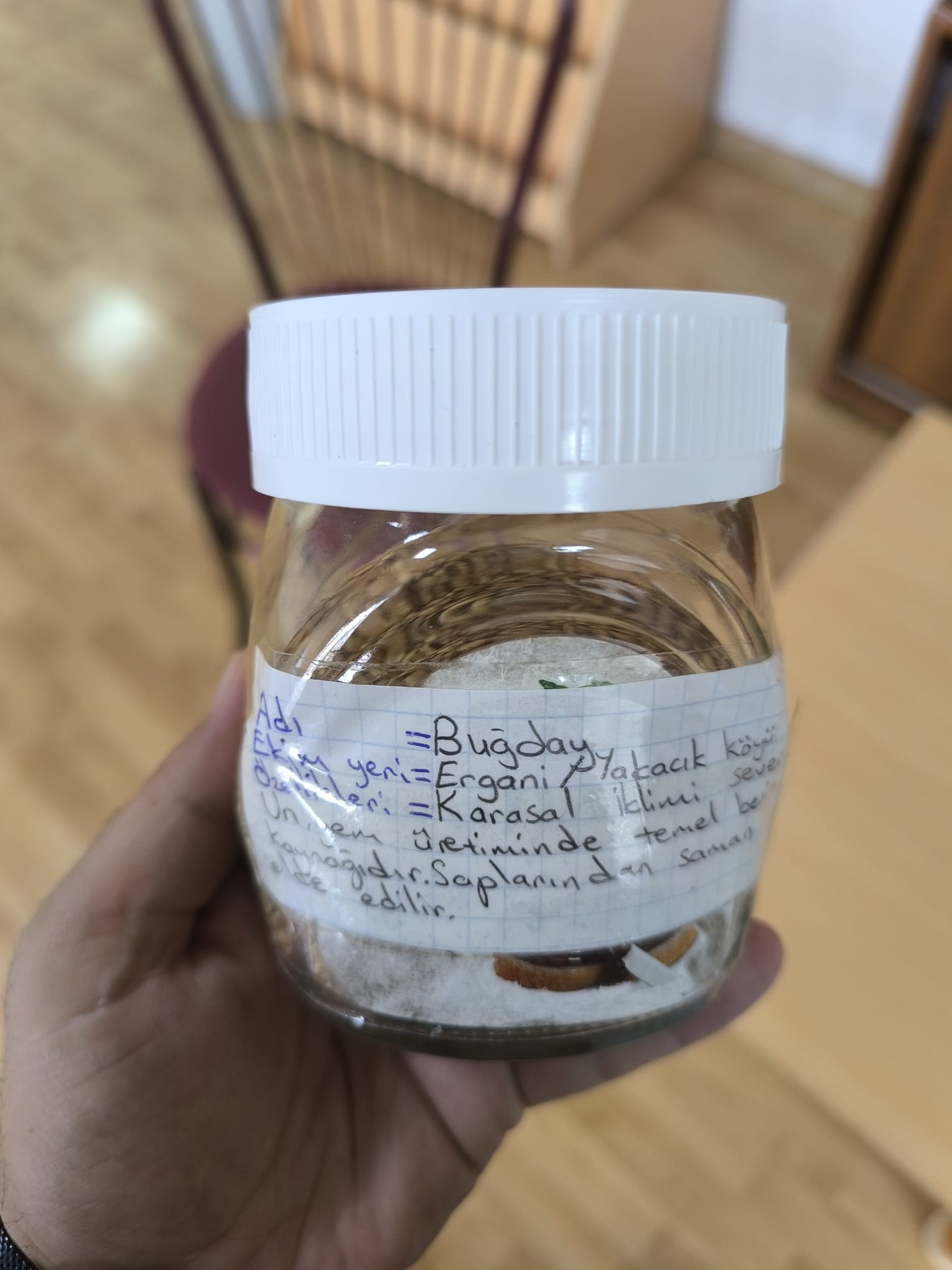 Doğa Dostu/AGRO Okul Kütüphaneleri